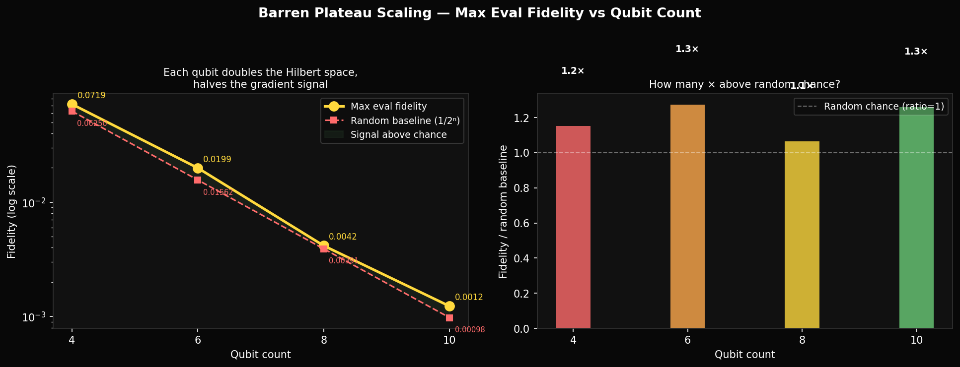 Barren plateau: fidelity vs qubit count