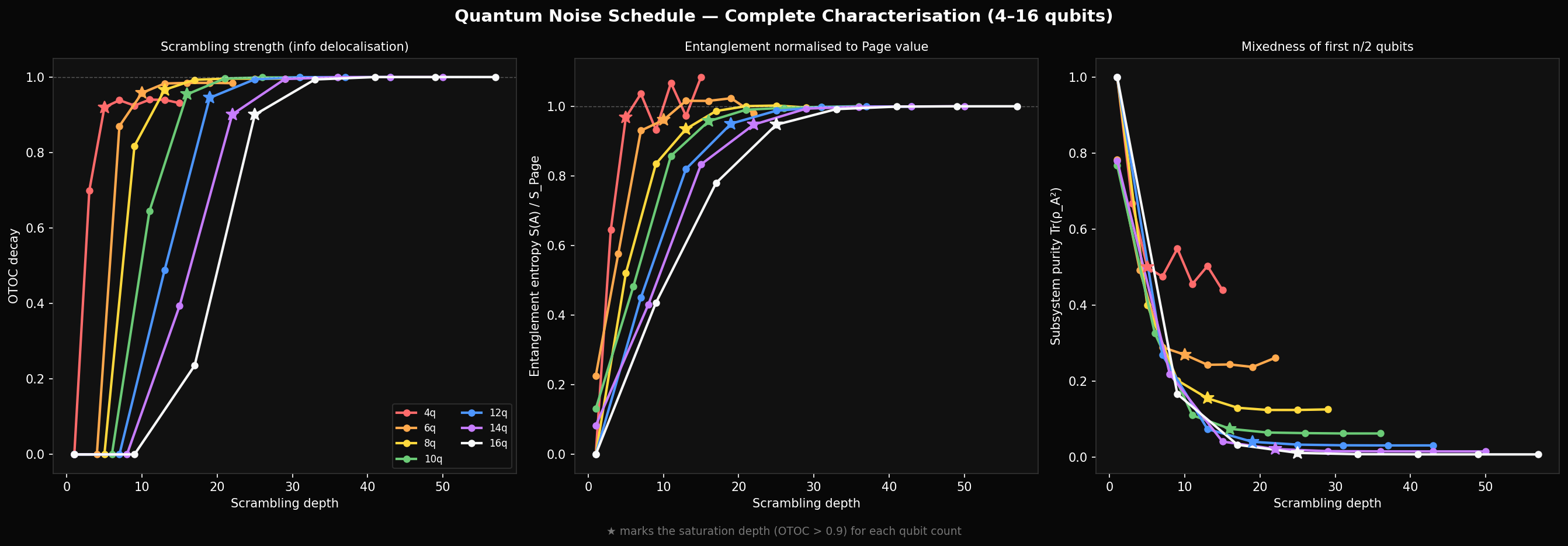Exp1 complete: OTOC, entropy, purity for 4–16 qubits
